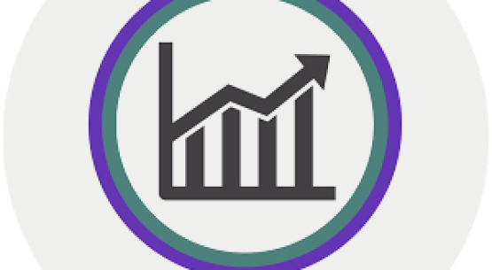 مدیریت: آقای حامد علیزاده